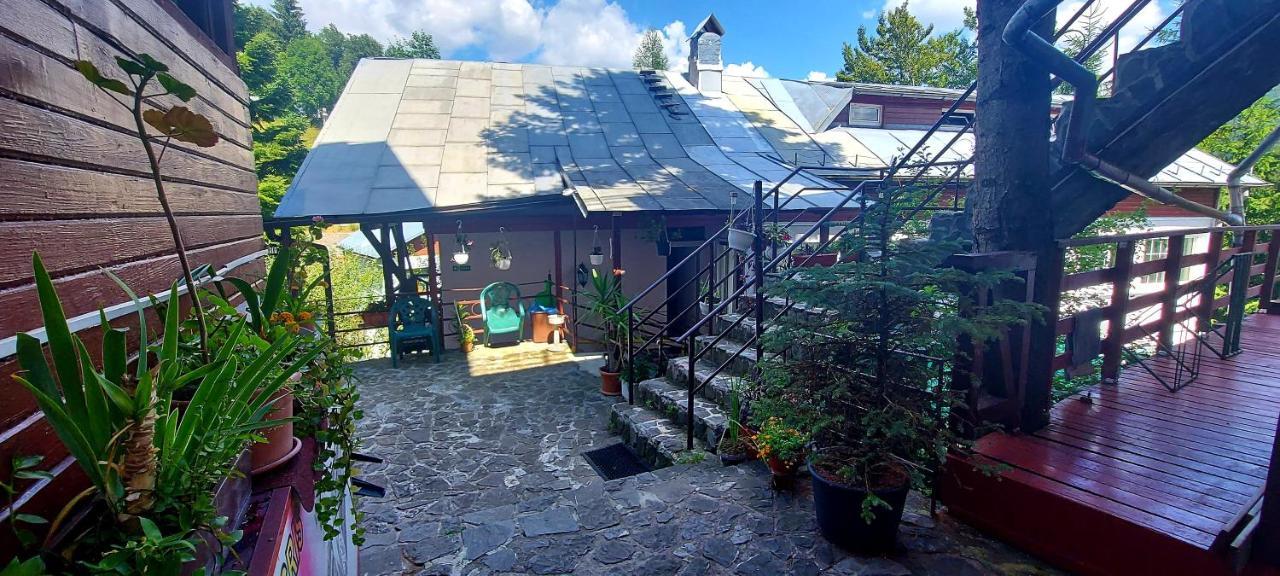 Casa Cristina_ Cabana Буштені Екстер'єр фото